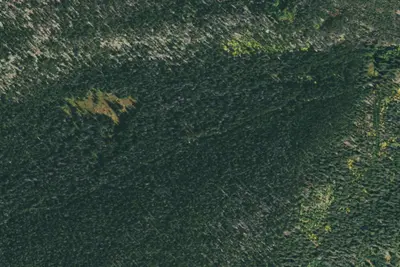 U.S. Forest Service Site 1