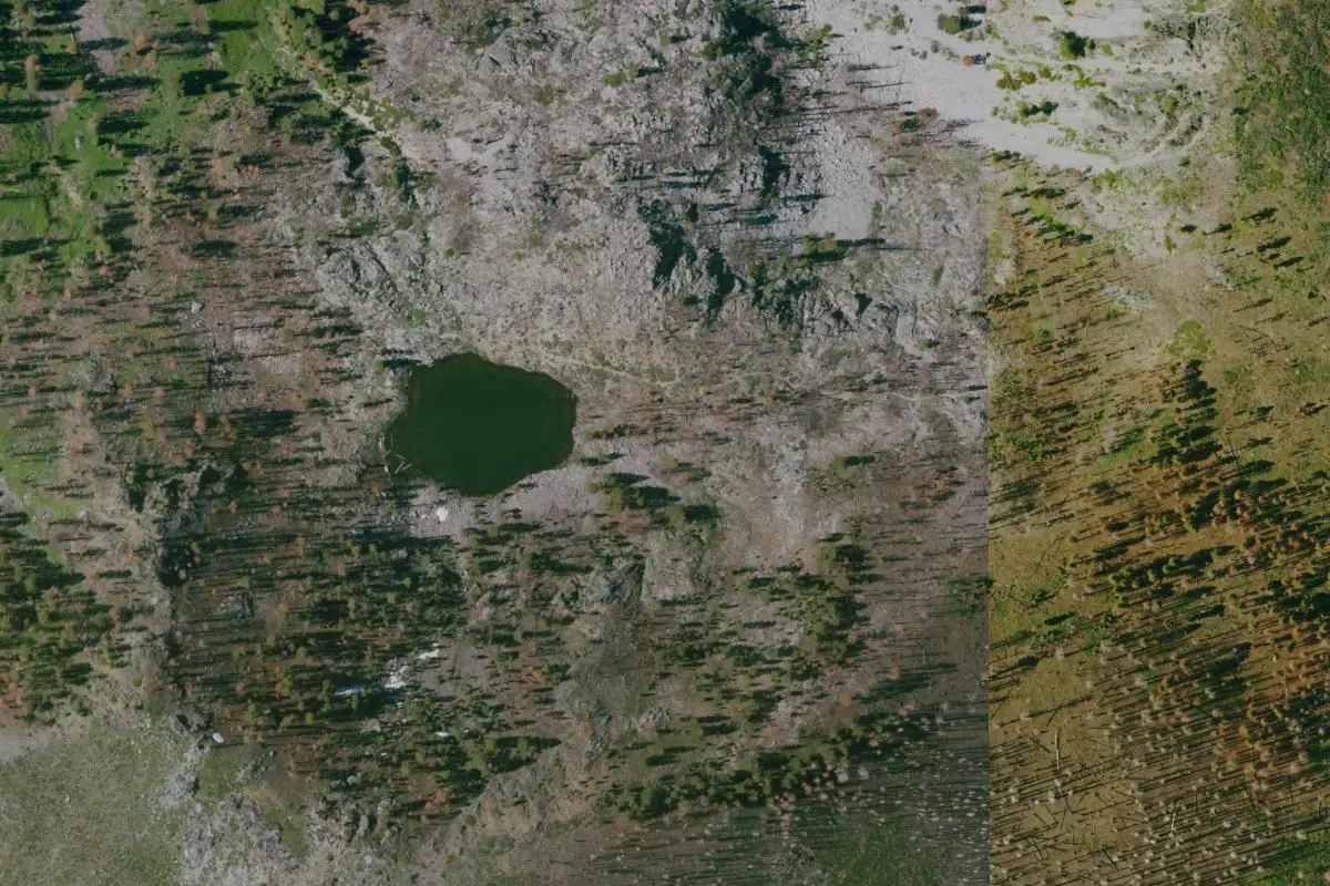 Aerial view