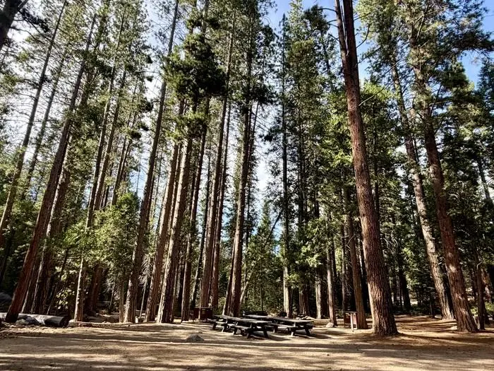 A photo of facility LOGGER FLAT GROUP with Picnic Table, Fire Pit, Shade, Food Storage, Tent Pad