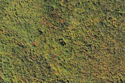 Group Site 1