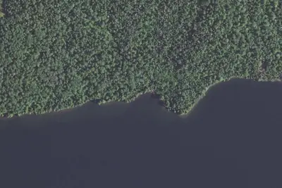 Pine Lake #1