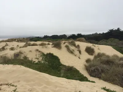 San Luis Obispo-Paso Robles, CA, CA, USA - panoramio - Sergei Gussev (4)