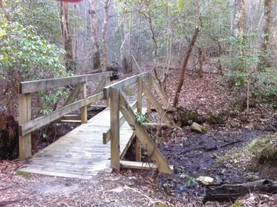 Len foote hike inn trail amicalola falls ga - panoramio