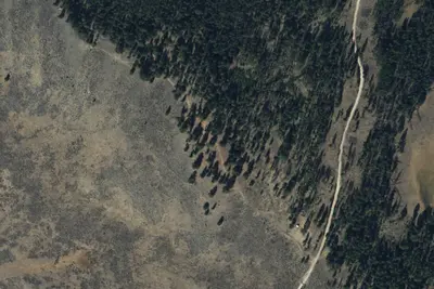 Site 9