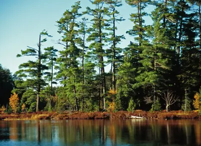 Pomeroy Lake Camp