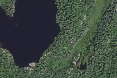 Camp site