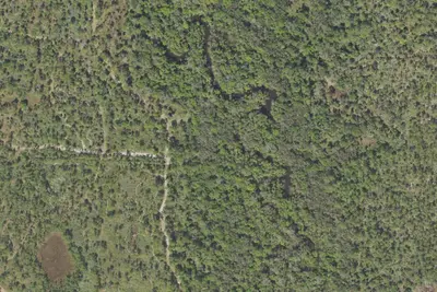 Camp site