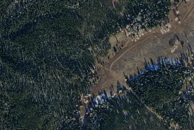 Grizzly Ridge Meadow