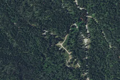 Pine Grove