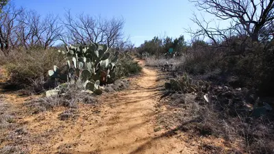 Cactus Cut Trail Lake Colorado City SP Texas 2023