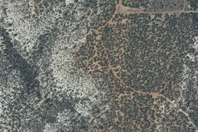 Camp site