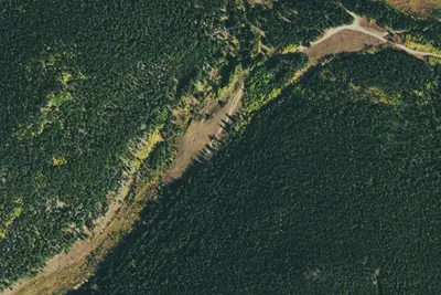 US Forest Service Site #8
