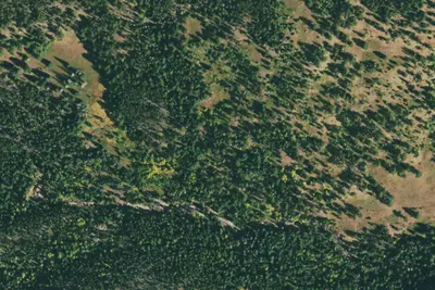 U.S. Forest Service Site 6