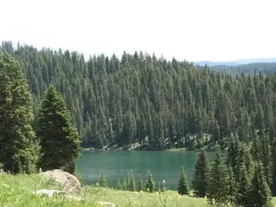 Island Lake Campground