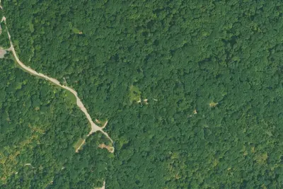 Cody