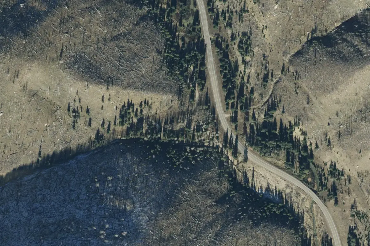Aerial view