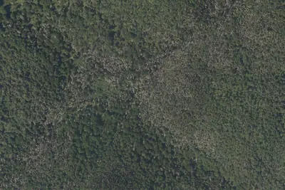 Camp site