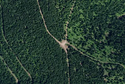 Rd 258 Site 15