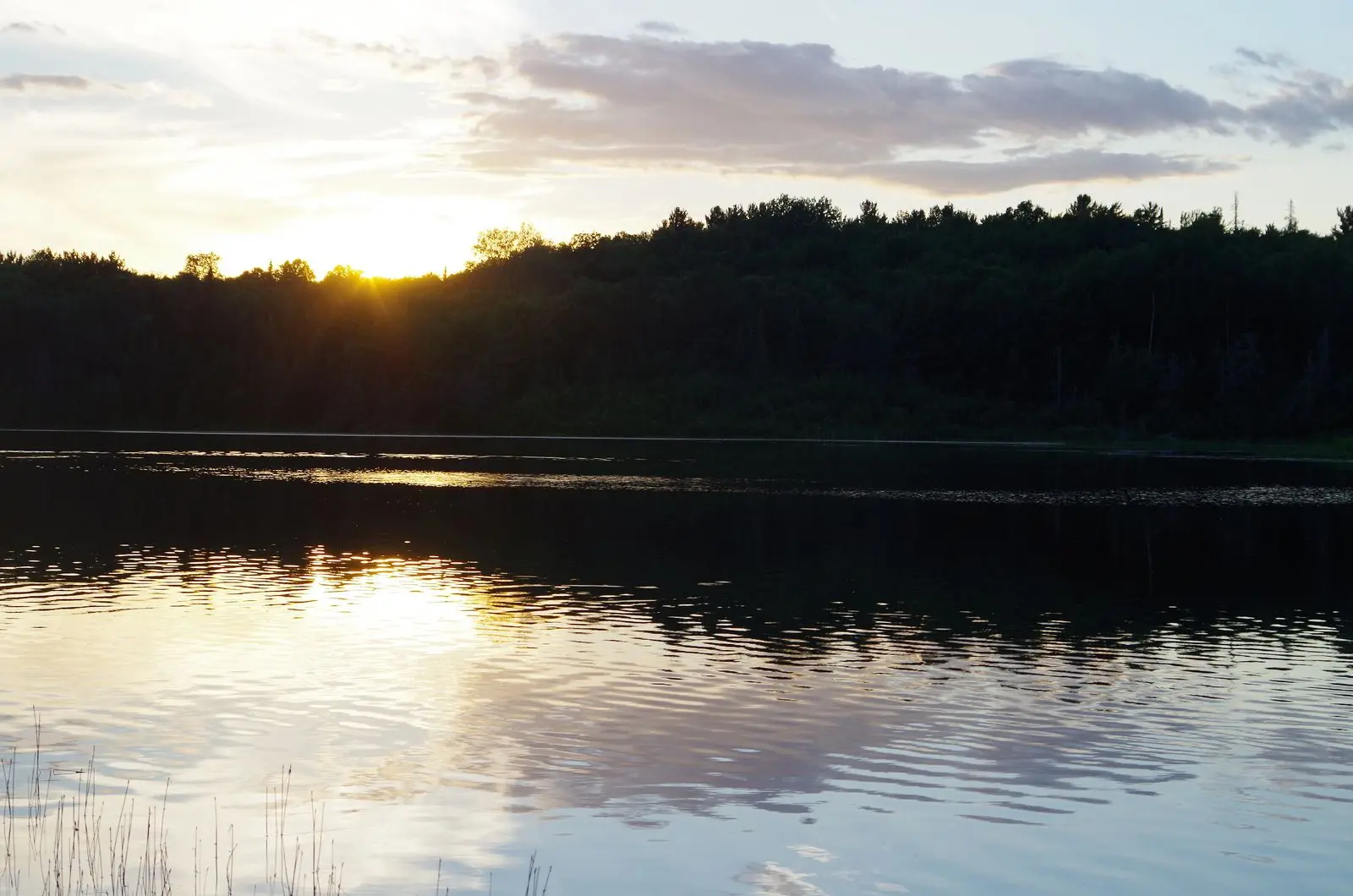Photo of Marten River Provincial Park