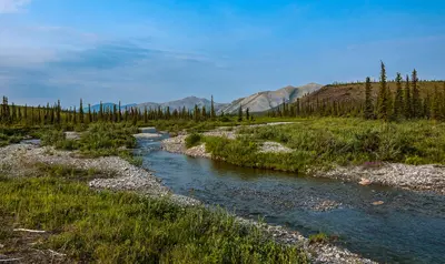 Crooked Creek landscape, Ivvavik National Park, YT