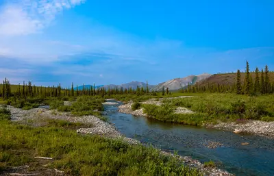 Crooked Creek landscape, Ivvavik National Park, YT 2