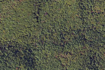 Camp site