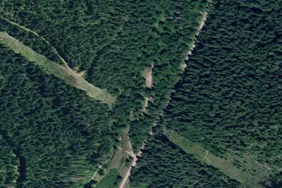 F.P. Disp. Site #58b