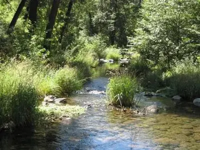 Cave Springs Campground Creek