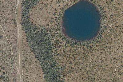 Trap Pond Camp