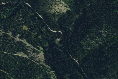 Bear Creek