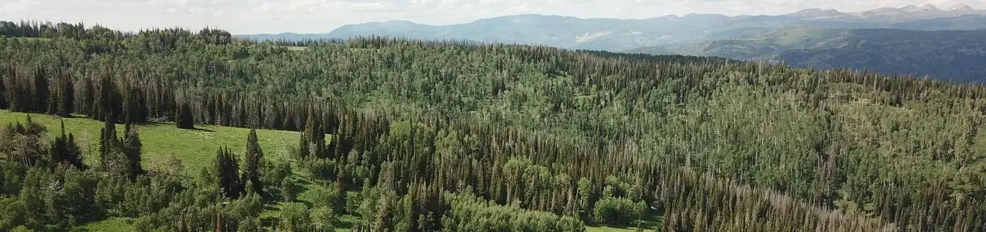 Wolf Creek (UT)