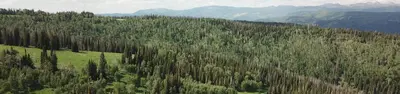 Wolf Creek (Ut)