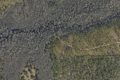 Big Gulley Hunt Camp & Boat Ramp