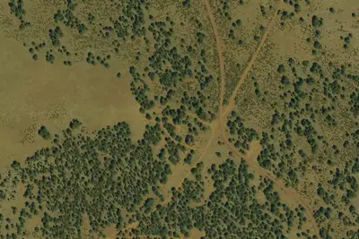 Camp site