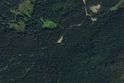 Gold Creek-001