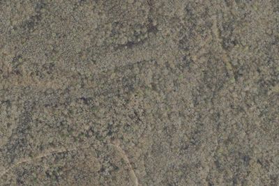 Camp site
