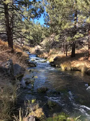 Owens River Headwaters (51294490633)