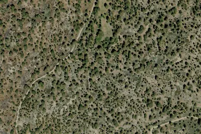 Deer Group Campground