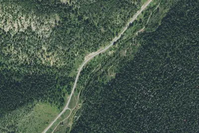 Logging Cr. Rd. 839-007