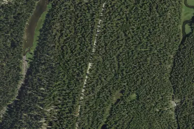 Camp site