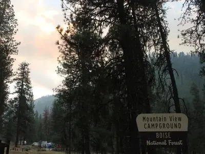 Sunshines down behind trees in the mountain view campground