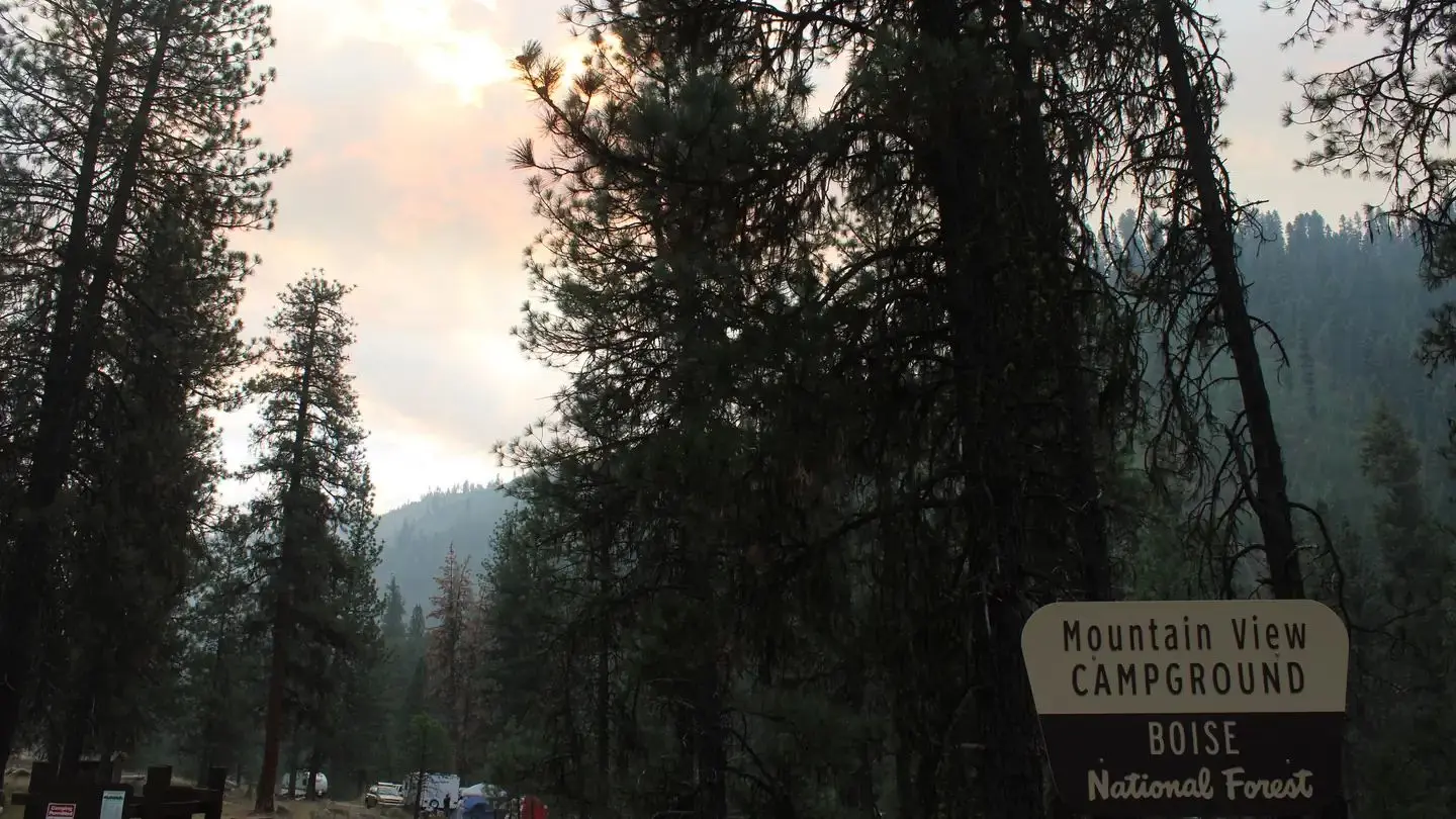 Sunshines down behind trees in the mountain view campground