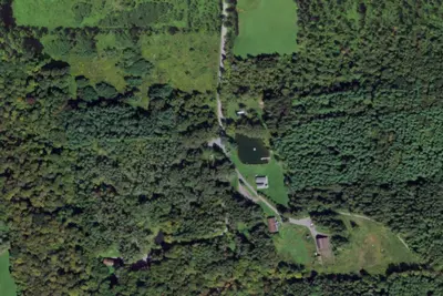 Wonderland Forest