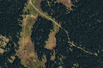Camp site