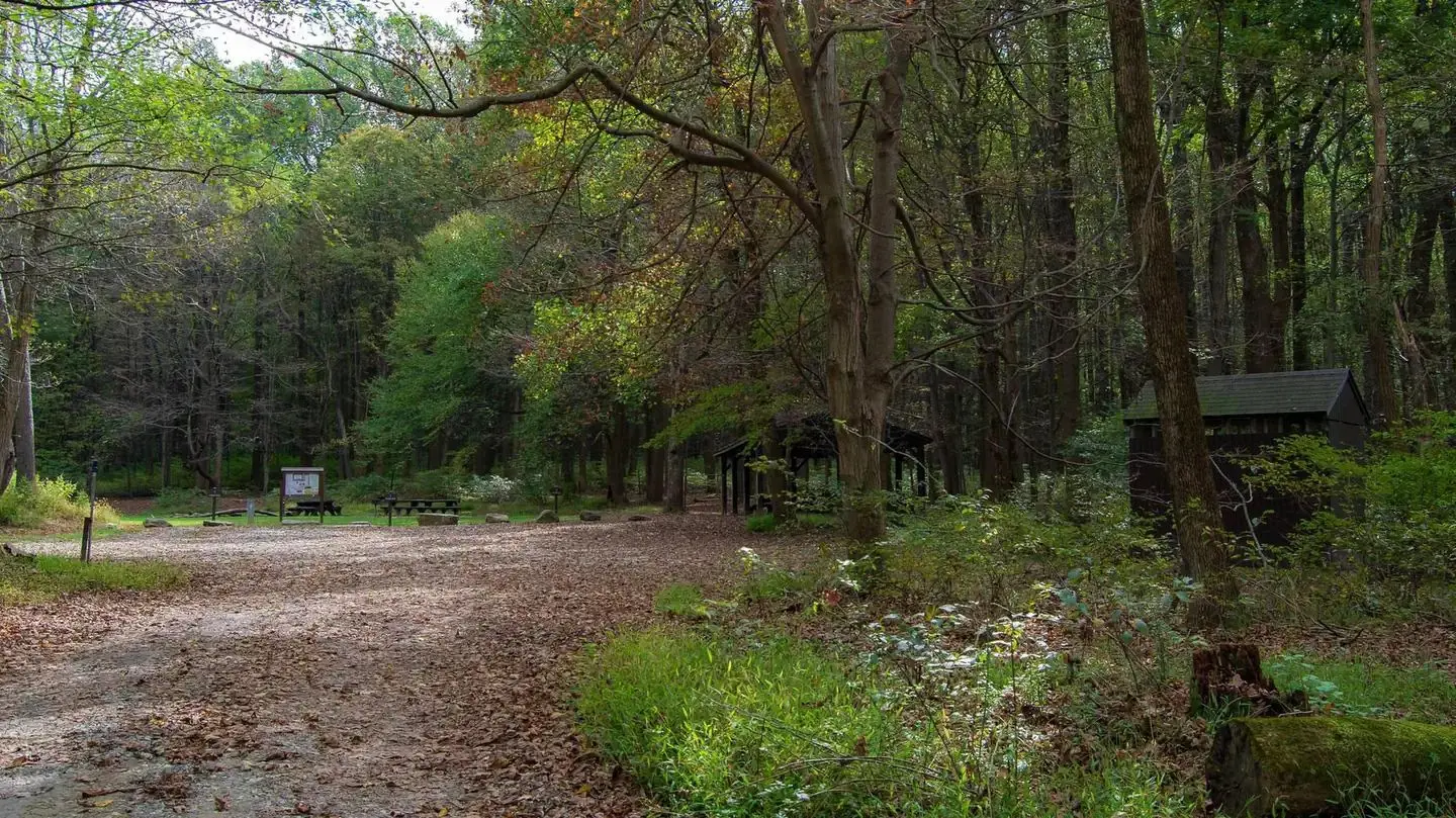 Gravel entrance road, showing signage, shared pavilion and wooden pit toilet building. Surrounded by deciduous trees in late summer.