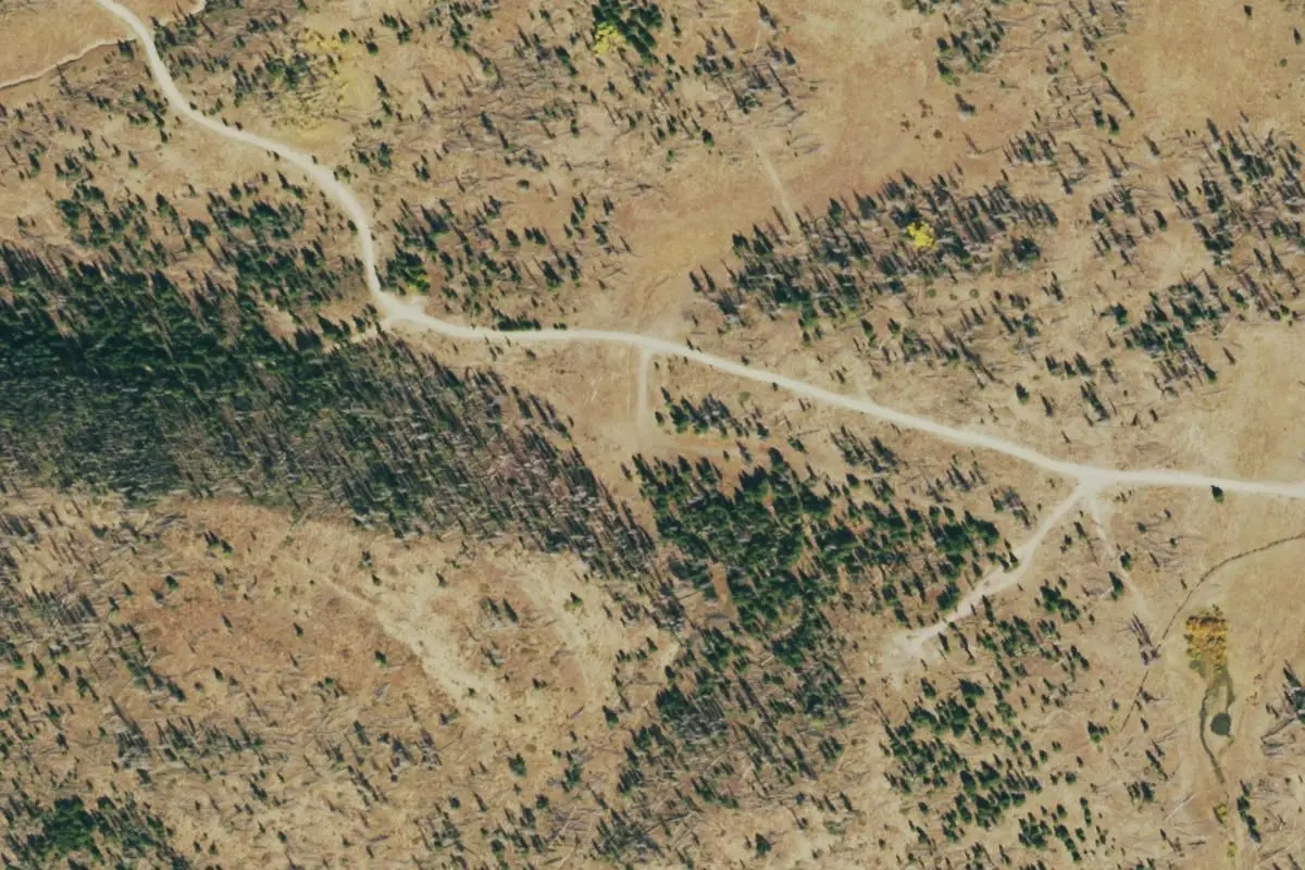 Aerial view