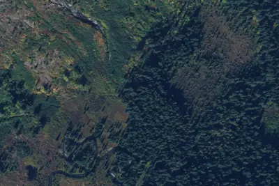 Camp site