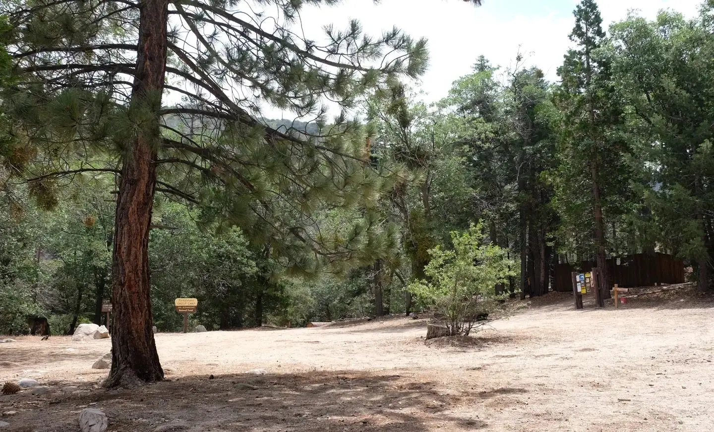 Fishermans Group Campground with trees.