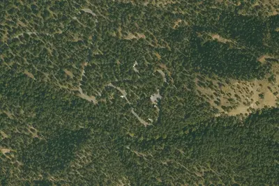 Bog Springs Campground
