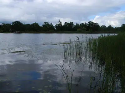 001Little Lake, Puslinch, Ontario